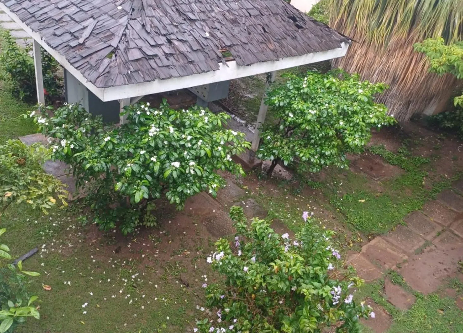 Apartment The Braemar All Suite Kingston Jamaica